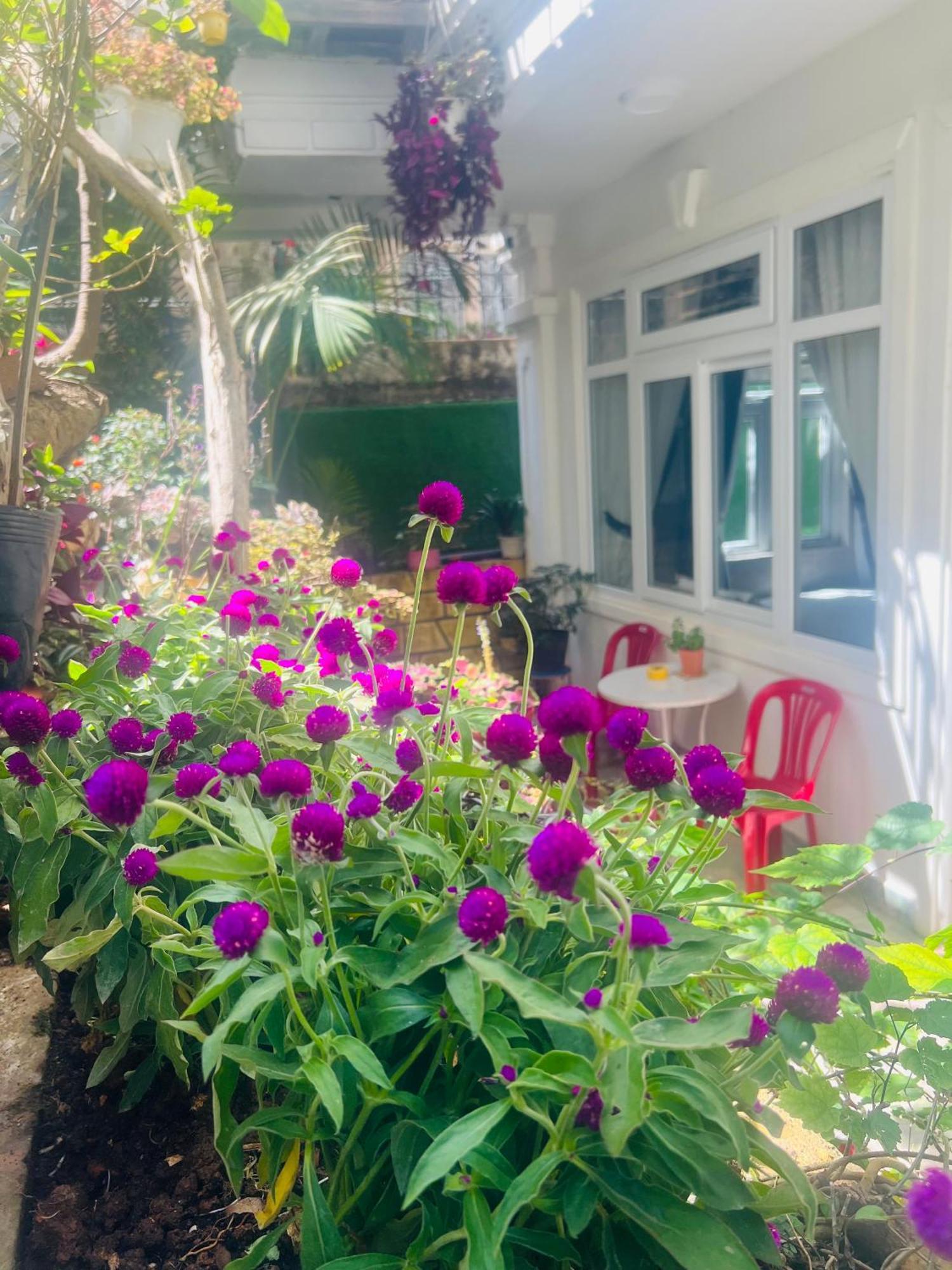 Villa - Hotel Nam Khang 2 Dalat Exteriör bild